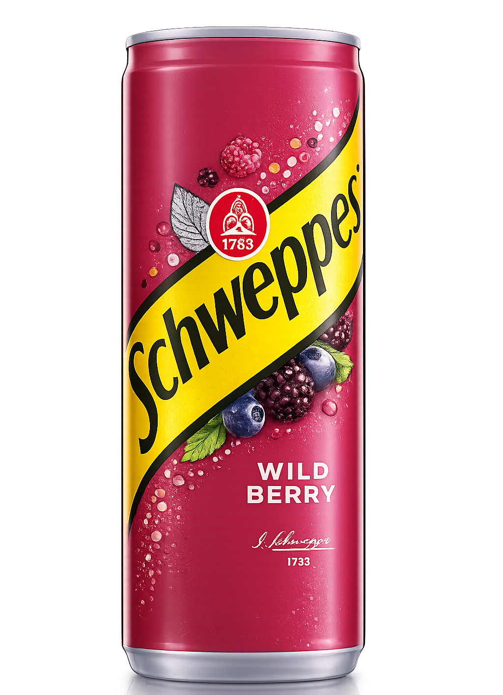 Schweppes Wild Berry Sparkling Drink