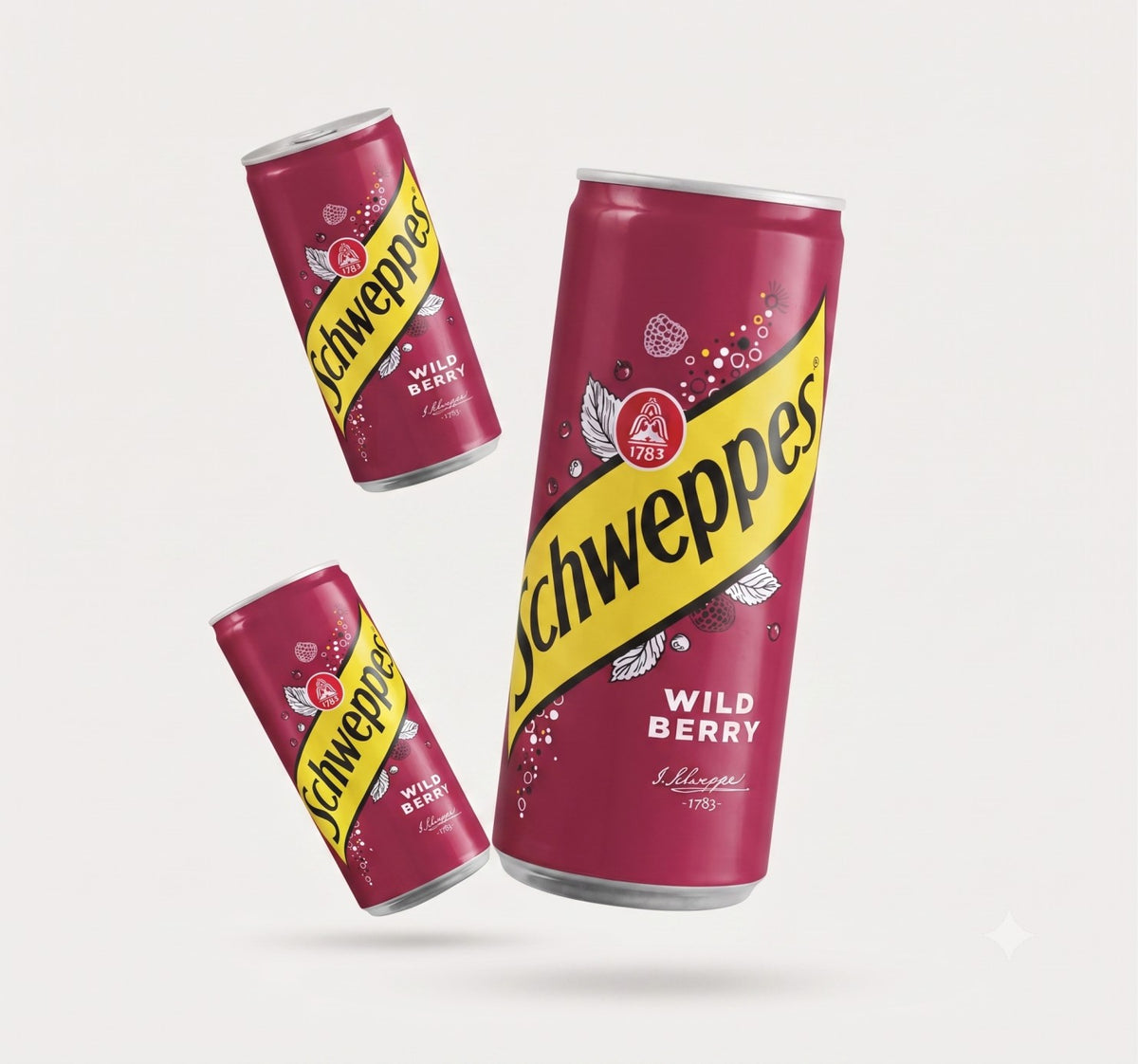 Schweppes Wild Berry Sparkling Drink